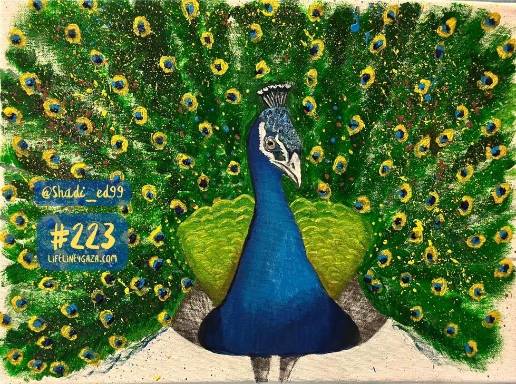 Postcard