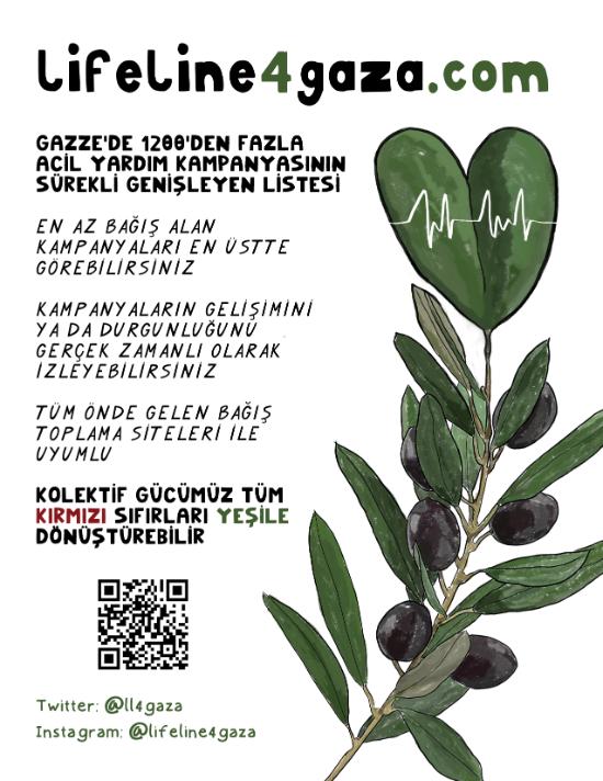 Flyer Turkish